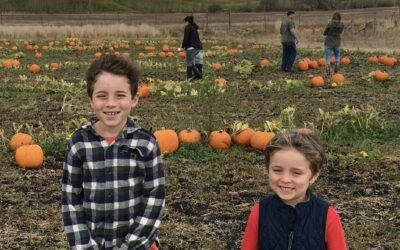 My favorite Sonoma County Pumpkin Patches